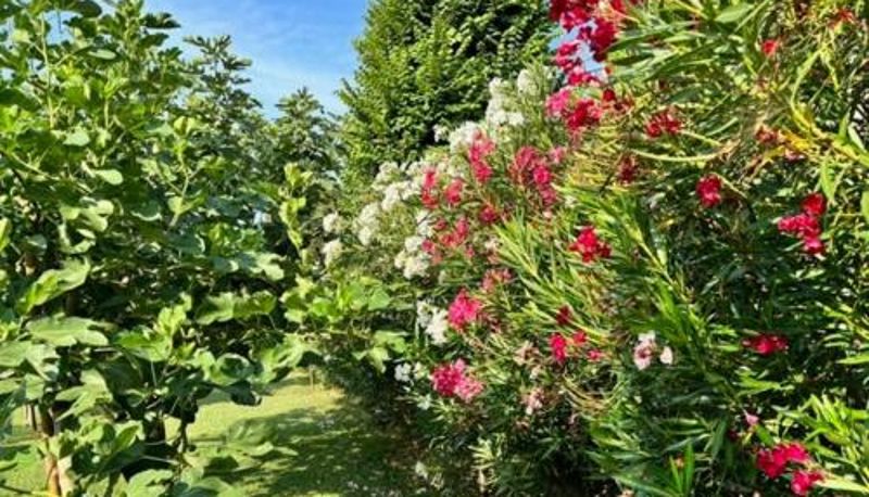 Info - B&B La Casa del Barbiere