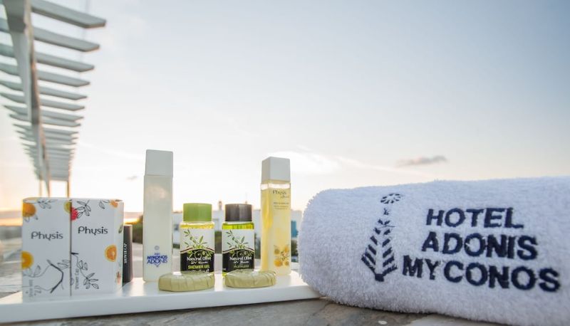 Standart oda - Mykonos Adonis Hotel