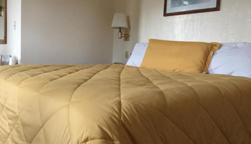 Bilgi - Baxter Inn 4 Less