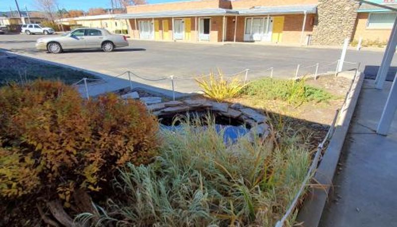 Bilgi - Robin Hood Motel