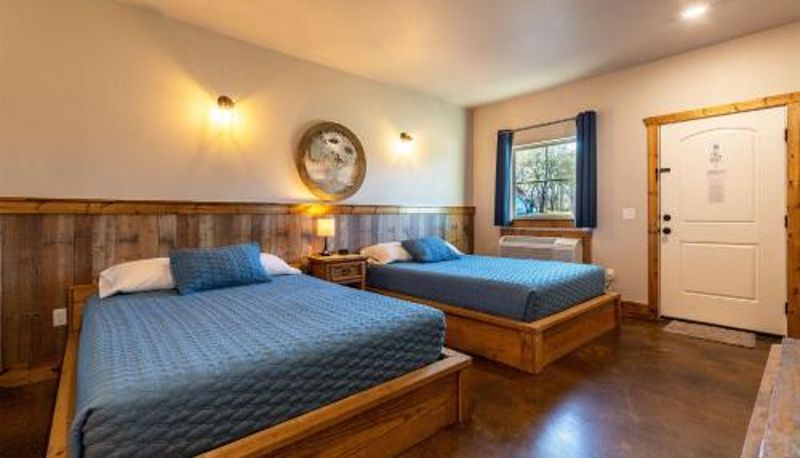 Bilgi - The Woods Lodging