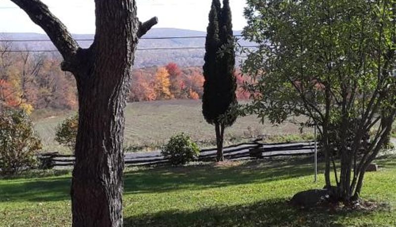 Info - The Cortina Inn