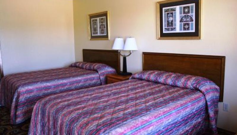Standardzimmer - Lake Palestine Motor Inn