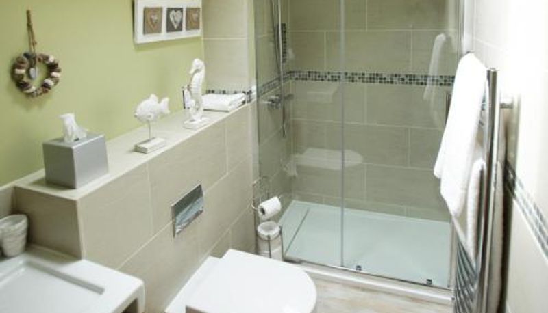 Łazienka - The Black Horse at Ireland