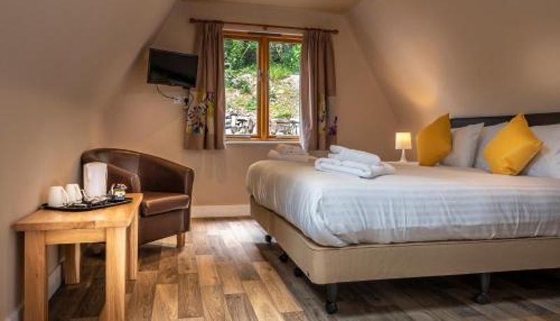 Room - The Poltimore Inn
