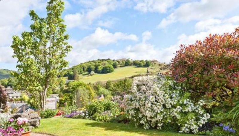 Area esterna dell'hotel - Hill Crest Country Guest House