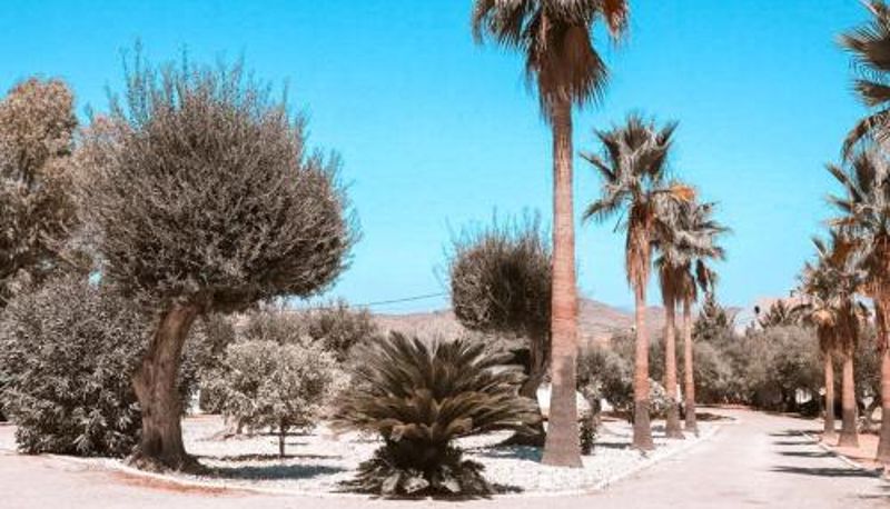 Info - Finca Besito
