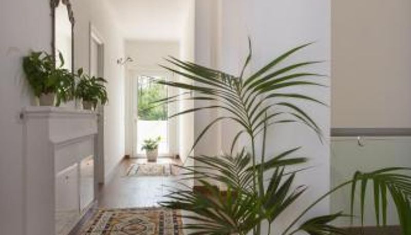 Receptie - B&B Terra del Sole