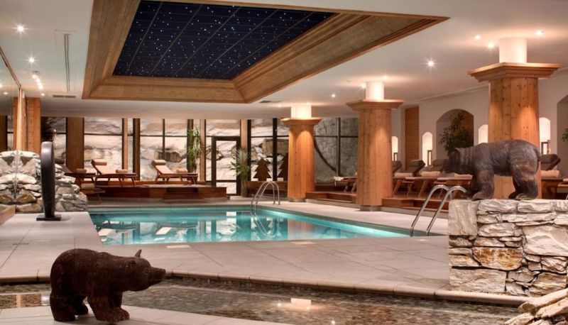 Piscina - Hôtel Barmes de L'Ours