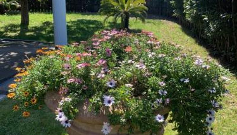 Info - B & B Villa Fiorella