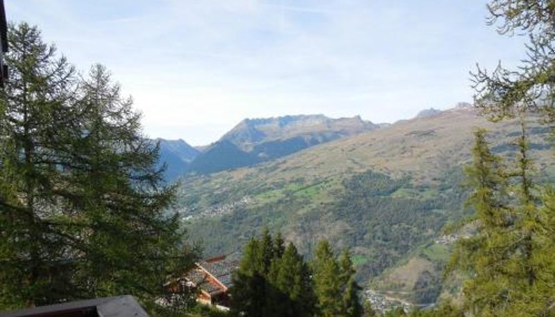 Info - animaux acceptés - FR-1-353-74 Studio divisible pour 4 pers. à La Plagne