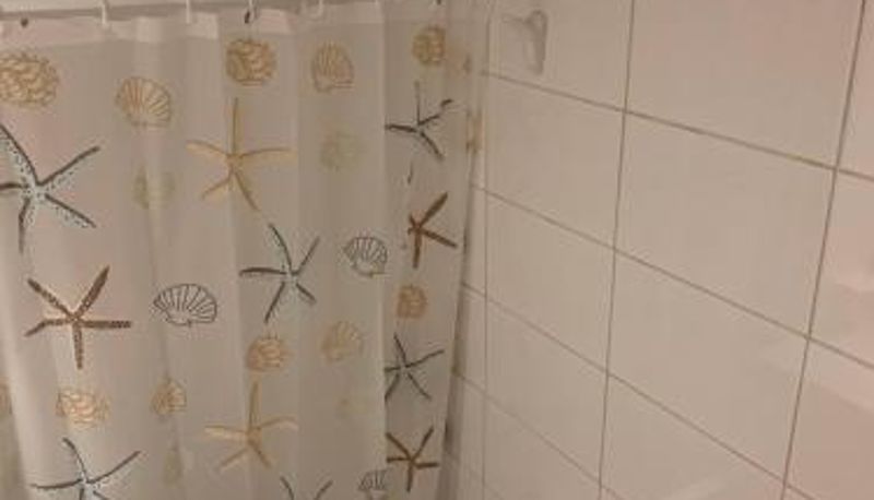 Quarto standard - Mairea II bis