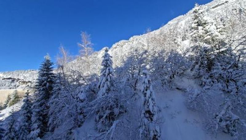 Bilgi - Résidence Andromede - Studio spacieux · Proche des pistes MAE-7407