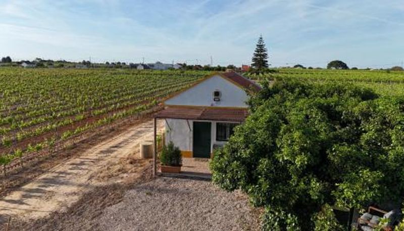 Üç kişilik oda - Casa Trincadeira