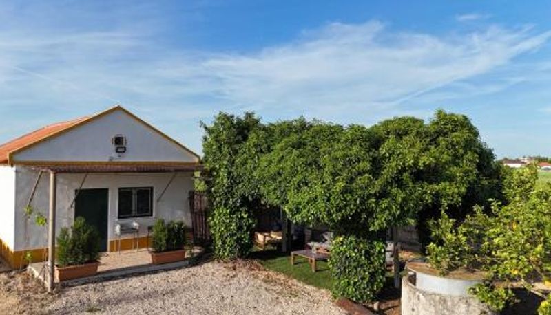 Üç kişilik oda - Casa Trincadeira