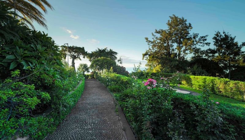 インフォメーションセンター - Quinta Funchal Gardens – Adults Only
