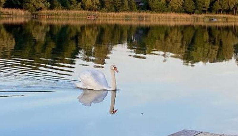 Standart oda - Apartament Masuria SPA Renata Rosłoń