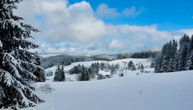 Appartement - Schwarzwald Nescht Triberg