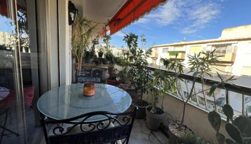 スタンダードルーム - Bright 31m2 flowered terrace near Croisette
