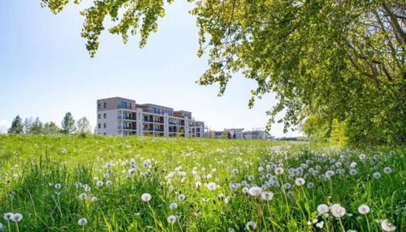 Apartment - Ferienwohnung 'zum Steinestapler'