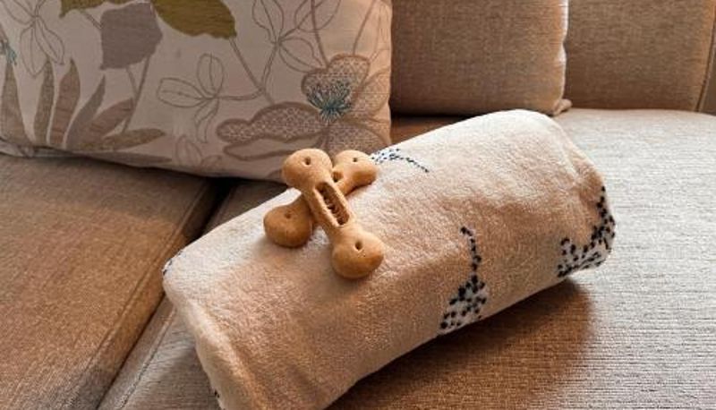 Appartement - Luxury Guest Suite Dog Friendly