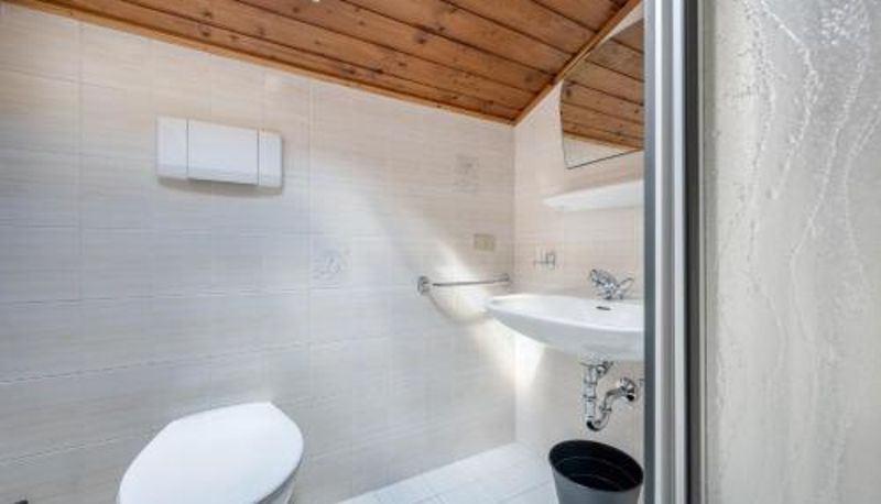 Apartment - Ciasa La Palsa App 4