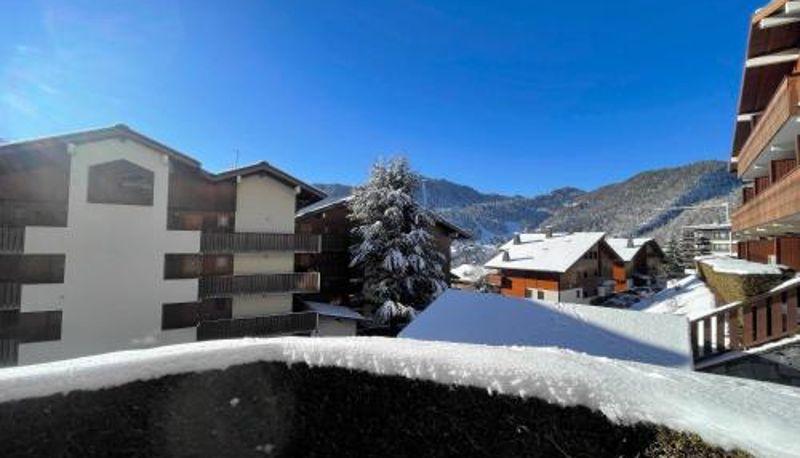Appartamento - CYBELE C1 - Appartement centre village et proche pistes - Garage