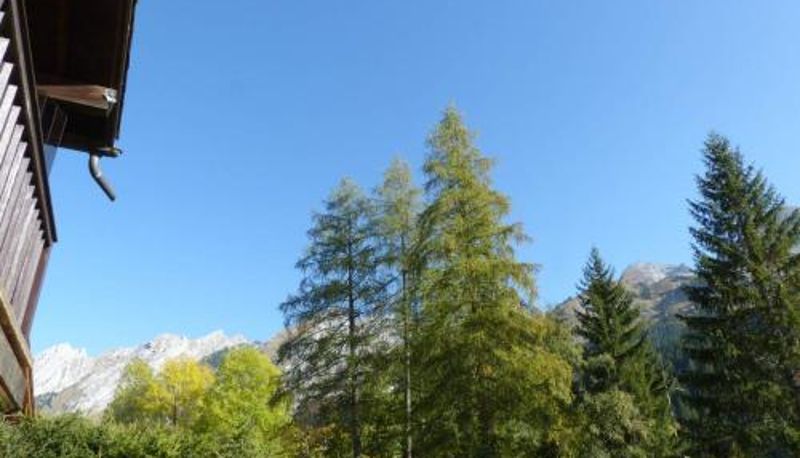 Standard room - Appartement chaleureux avec parking à La Clusaz - FR-1-437-68