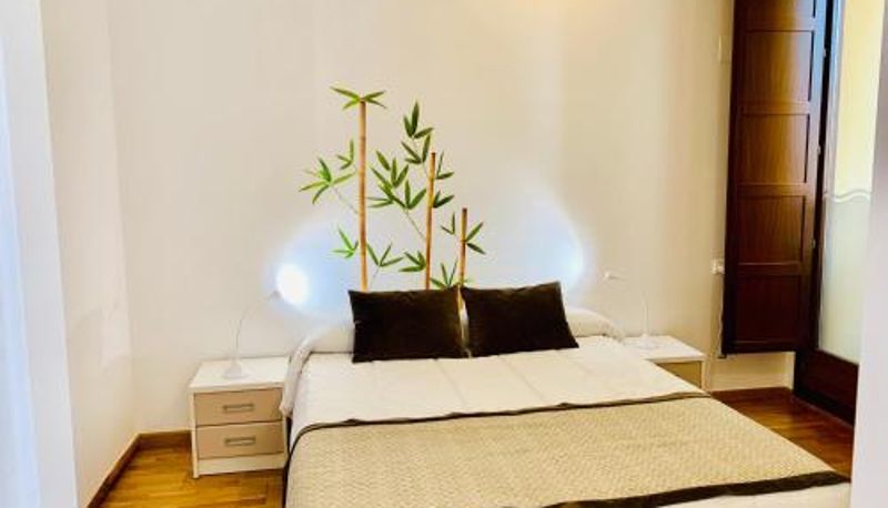 Apartment - Palau de Palomar - PalomarGroup