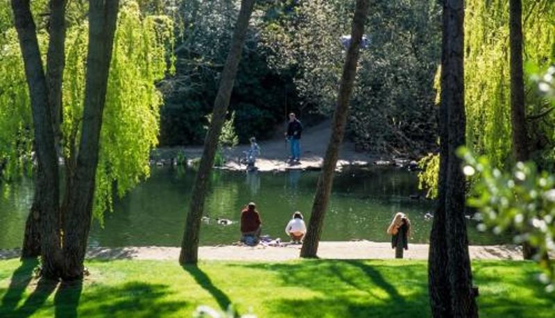 Info - Appartement charmant près de la plage et une piscine (32 m²)