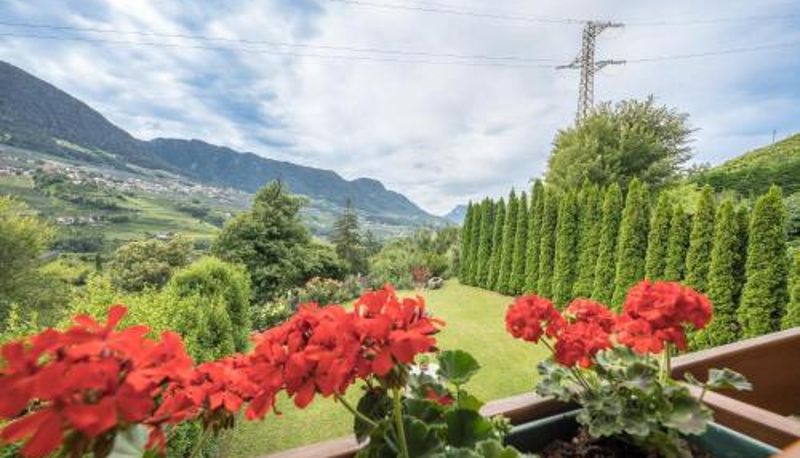 Apartamento - Tischlerhof - Typ B mit Balkon