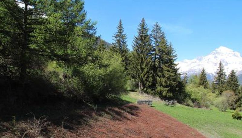 Standart oda - Appartement 6 pers. au pied des pistes avec Wi-Fi et parking