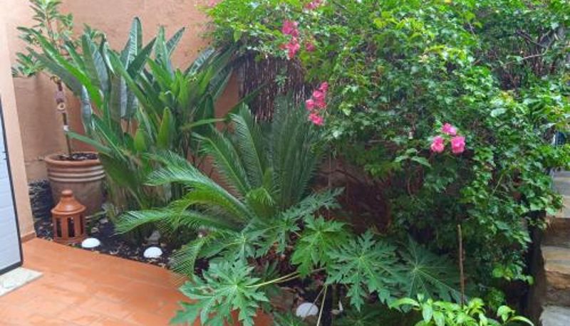 Appartamento - Apartement Casares Costa