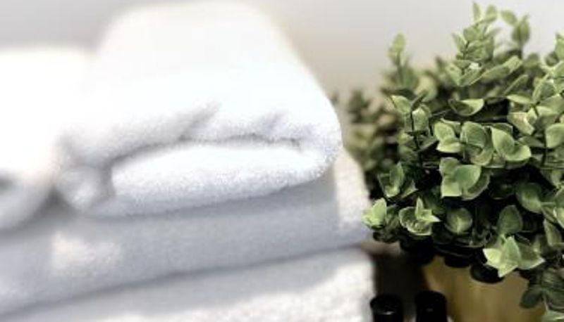 Apartament - Ascot House Apartments