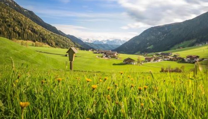 Appartamento - Feldererhof GsiesApt Dolomitenblick