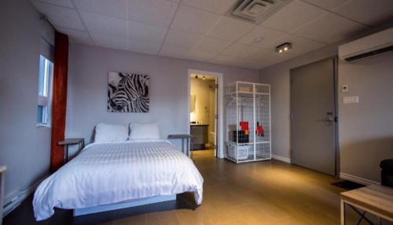 Appartement - Le Chic-Urbain