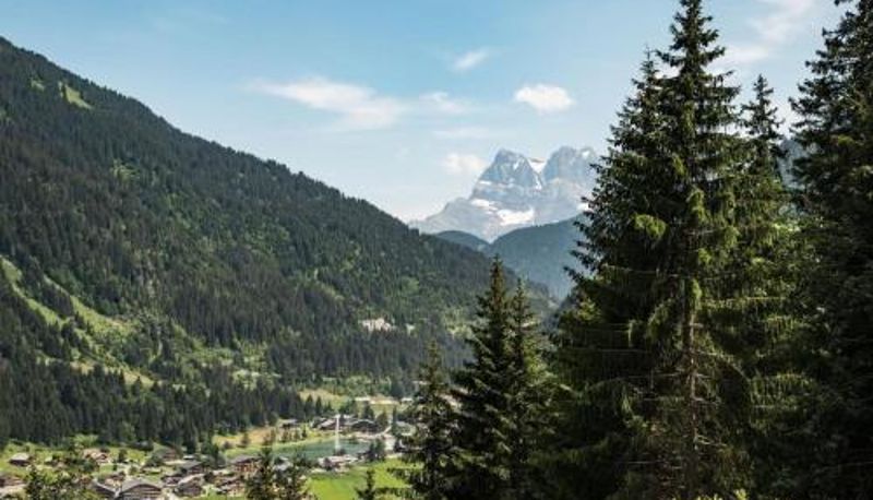 Appartamento - Portes Du Soleil PSB204 TELECABINE & MOUNTAIN 4 per