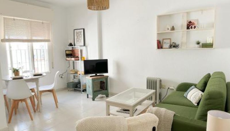 Info - El Gato Gris