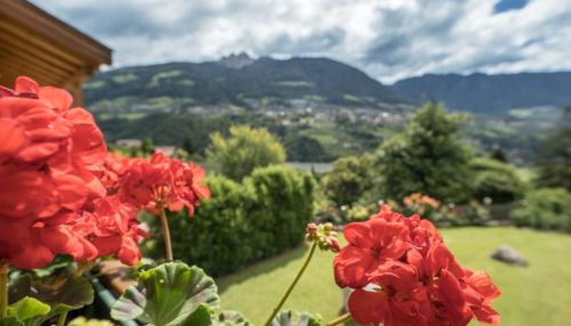 Apartment - Tischlerhof - Typ A mit Terrasse