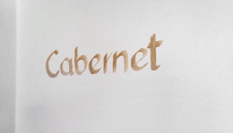 Habitación estándar - Bacchushof Apartment Cabernet