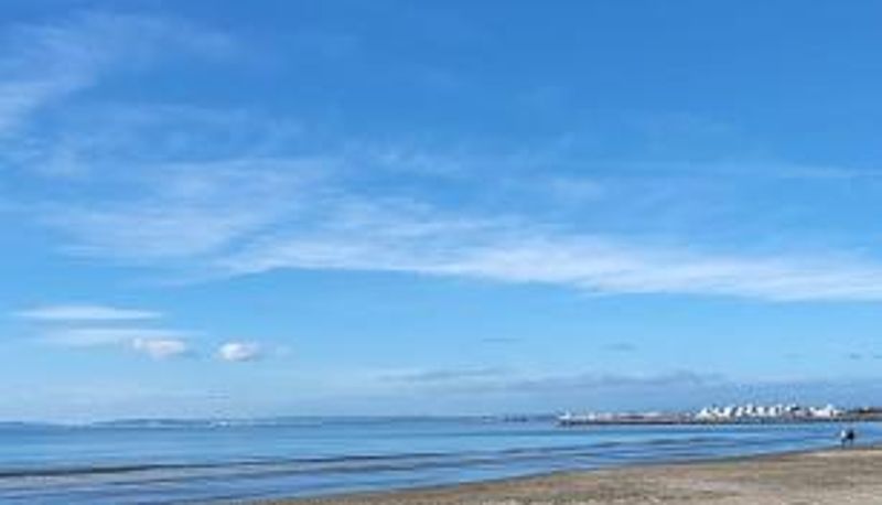 Información - La Voile Bleue où il fait bon être plage et commerces à pied