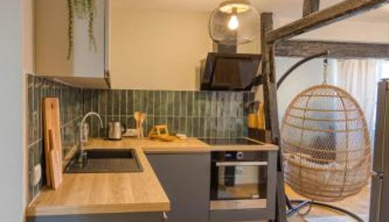 Standard room - Appartement Le Verdoyant hyper centre avec Parking et Sauna