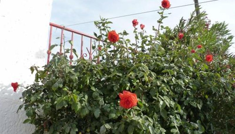Appartement - Cueva Las Rosas-VTAR/GR/02108