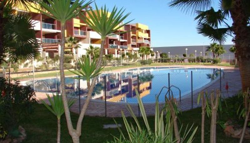 Pool - Apartamento en Playa Flamenca (residencial El Bosque)