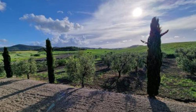 Standart oda - Agriturismo Il Poggio Rosso di Maremma