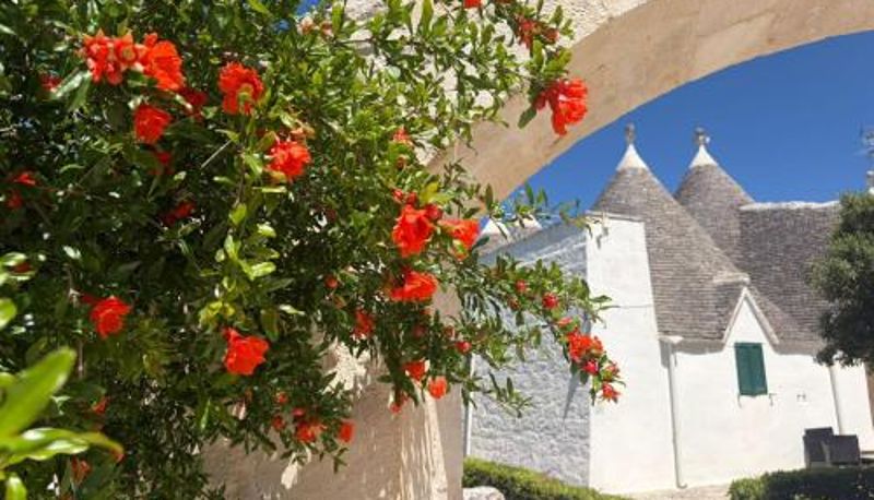 Pokój typu standard - Trullo Suite in Masseria