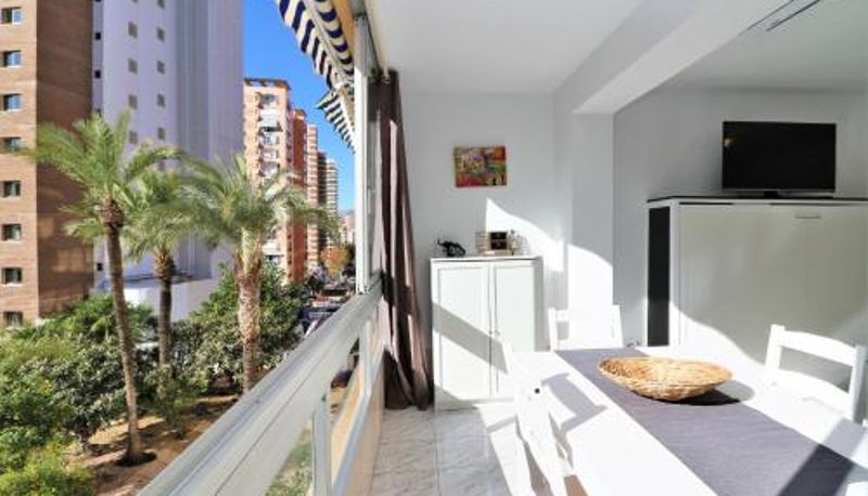 インフォメーションセンター - Versalles Pool Levante