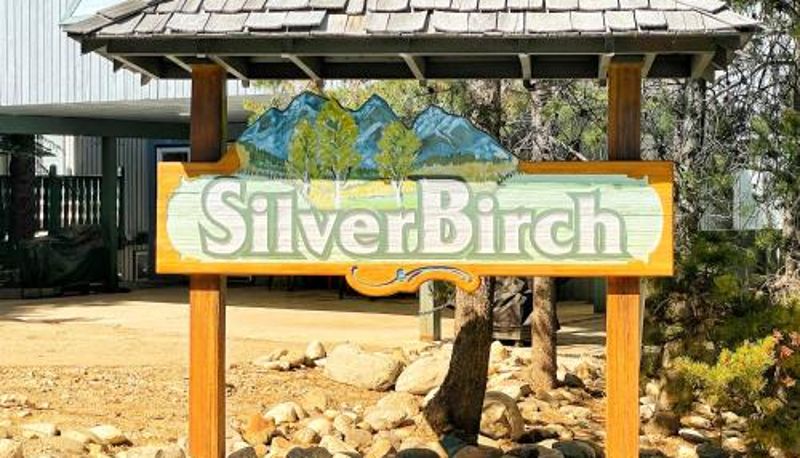 Bilgi - Silver Birch by StayIn