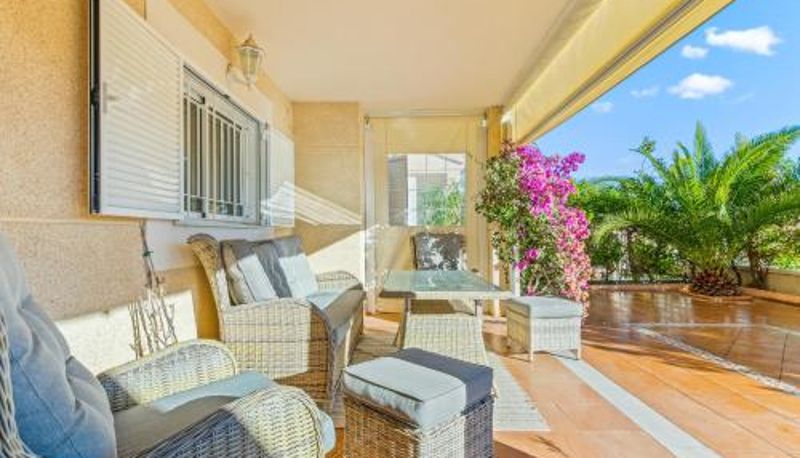Camera standard - Bugenwilla Orihuela Costa