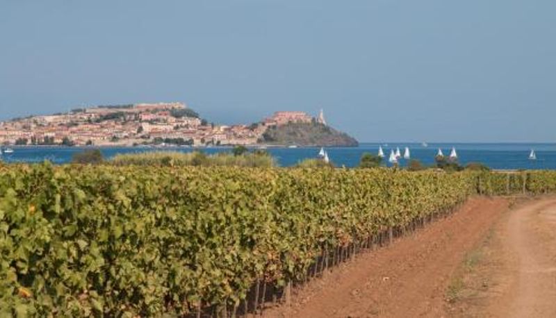 アパートメント - Villa Giolù a pochi passi dal mare